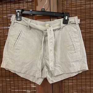 AE shorts, brand new with tags.